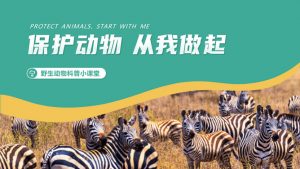 保护野生动物从我做起PPT模板-铁虎资源网