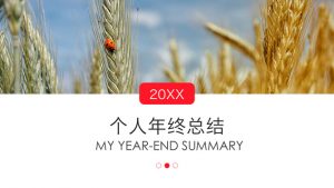 杂志风个人年终总结PPT模板-铁虎资源网