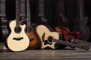 煊丞【入门+进阶+高阶】简谱入门300首+吉他全面提升教程157节-铁虎资源网