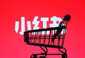 价值2999元小红书电商运营·从入门到精髓-铁虎资源网