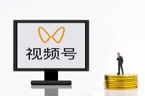2024黄盈视频号涨粉变现训练营-铁虎资源网