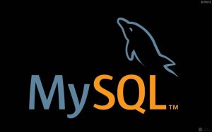 【尚硅谷】MySQL面试专题-铁虎资源网