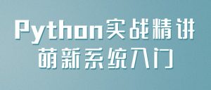 《Python实战精讲》萌新系统入门-铁虎资源网