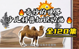 儿童科普动画《奇妙的世界》 (共120集)-铁虎资源网