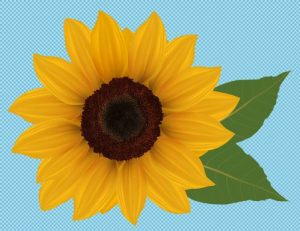 1万张PNG透明免抠素材-铁虎资源网