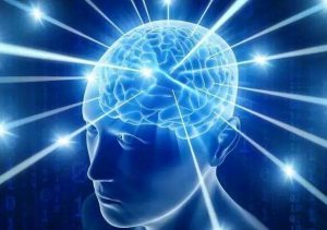 外挂大脑训练营（用印象笔记来管理知识）-铁虎资源网