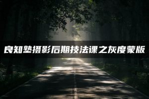 时光机《灰度蒙版：风光摄影后期必备神技》-铁虎资源网