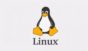 马哥-Linux高端运维云计算就业班-铁虎资源网