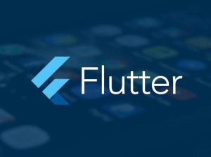 Flutter高级进阶实战项目-仿哔哩哔哩APP-铁虎资源网