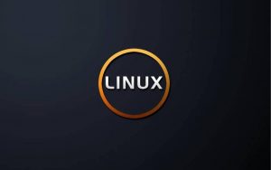 王利涛-linux高级编程-铁虎资源网