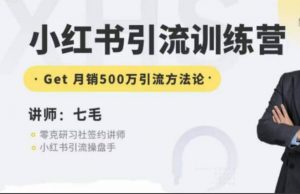 零克-小红书引流训练营第五期，Get小红书矩阵引流月销500万的方法论-铁虎资源网
