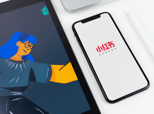 小红书IP打造60天实战营11期-铁虎资源网