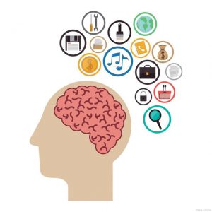 16天高效记忆力强化训练视频课-铁虎资源网