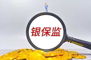 金管局银保监资料合集-铁虎资源网