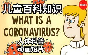 TED-Ed少儿科普动画《Getting Under Our Skin 人体的奥秘 》-铁虎资源网