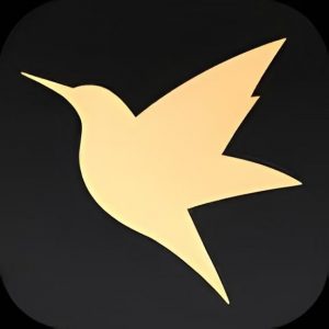 迅雷年费VIP版，极速下载完美精简，去广告纯净版！-铁虎资源网