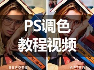 刘杨调色实战课-铁虎资源网