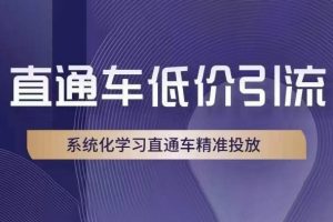 直通车低价引流课，系统化学习直通车精准投放-铁虎资源网