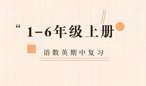新东方《小学语数英期中精讲精练 (上学期) 》-铁虎资源网