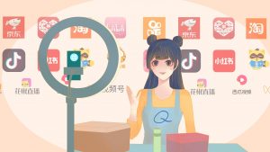 2024年10月婉婉：直播带货流量训练营 52节视频课-铁虎资源网