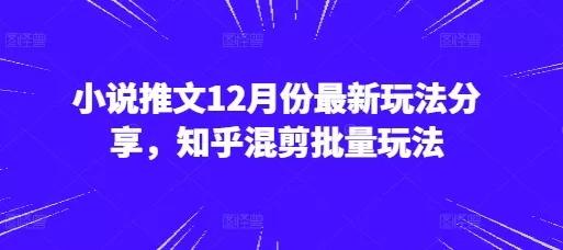 小说推文12月份新的玩法分享，知乎混剪批量玩法-铁虎资源网