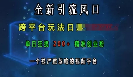引流风口，跨平台玩法日入上k，单日200+创业粉，一个被严重忽略的视频平台-铁虎资源网