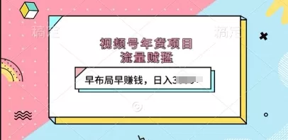 视频号年货项目，流量DD，早布局早挣钱，日入上k-铁虎资源网
