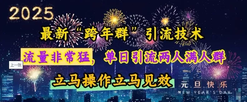 “跨年群”引流，流量非常猛，单日引流两人满人群，立马操作立马见效【揭秘】-铁虎资源网
