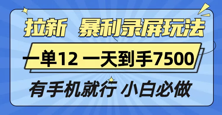 拉新暴利录屏玩法，一单12块，一天到手7500，有手机就行-铁虎资源网