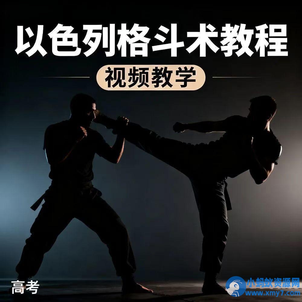 防身术以色列马伽术健身视频教程教学以色列格斗术