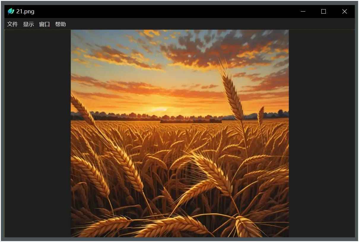 LeafView(图片查看器)轻量级v3.9.4绿色版-铁虎资源网