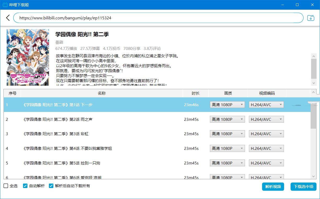 DownKyicore哔哩下载姬跨平台版v1.0.24绿色版-铁虎资源网