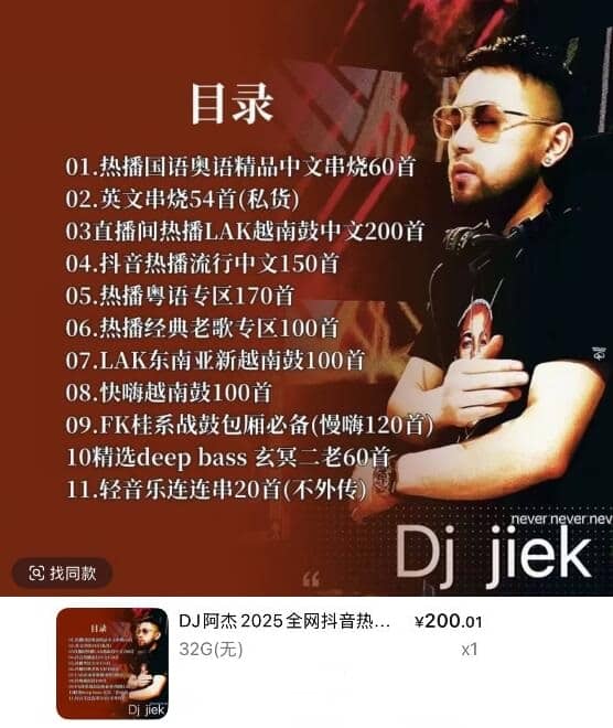DJ阿杰2025全网抖音热播车载DJ精选音乐-铁虎资源网