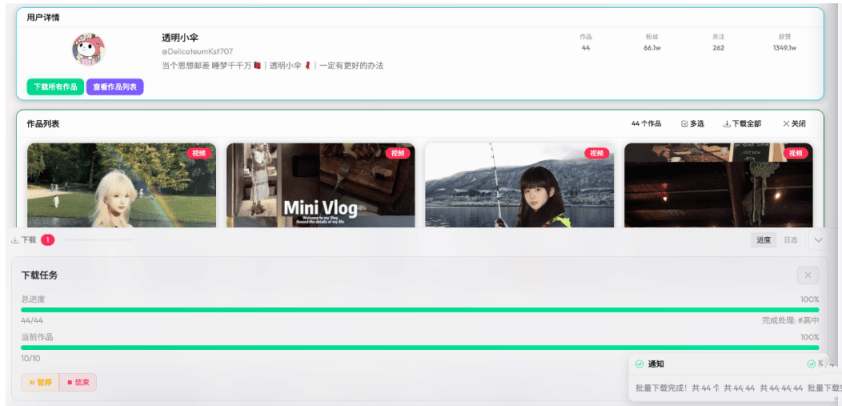 PC抖音下载器 DY Video Downloader v0.0.9