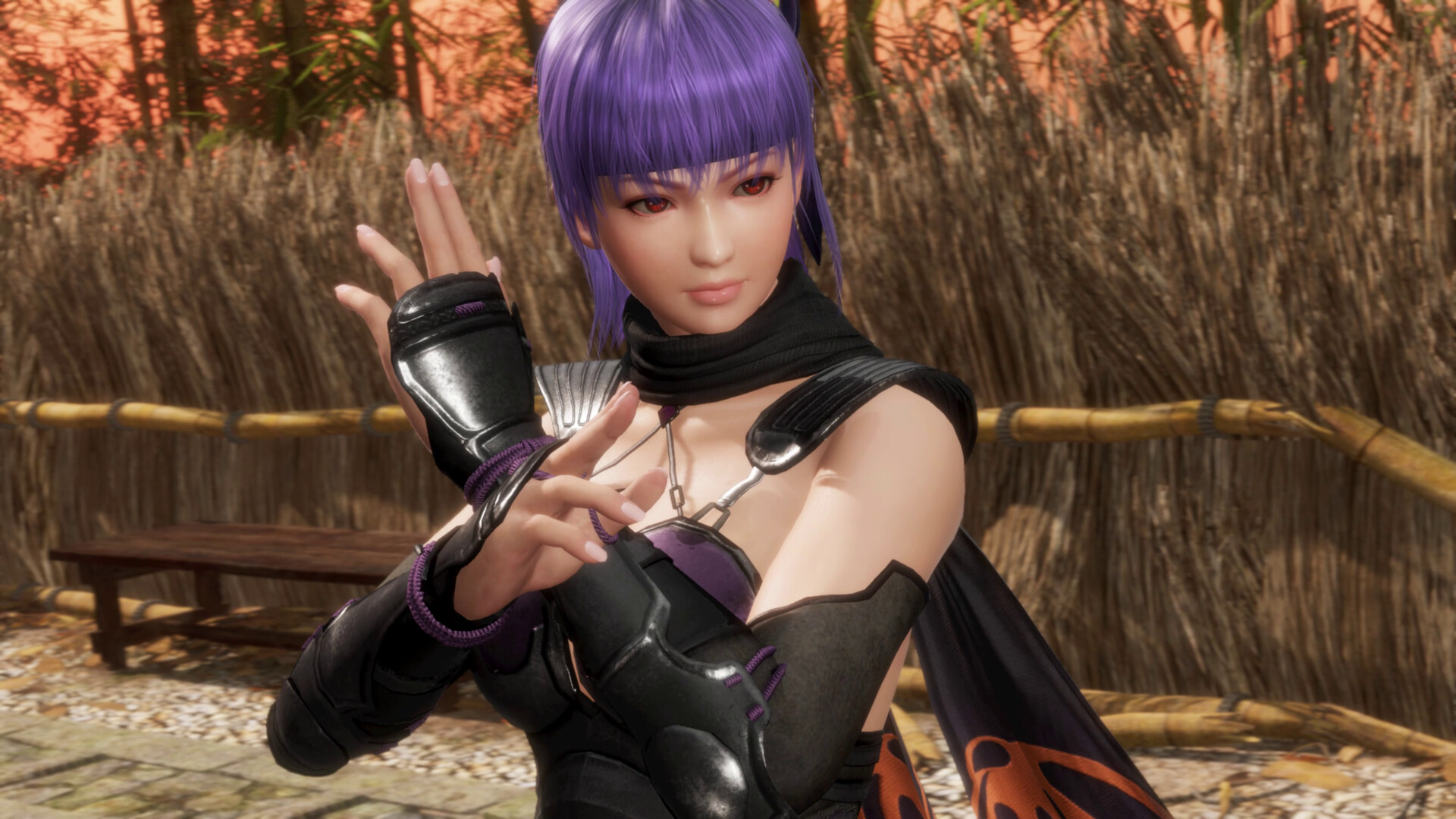 死或生6：最后一战/DEAD OR ALIVE6Last Round